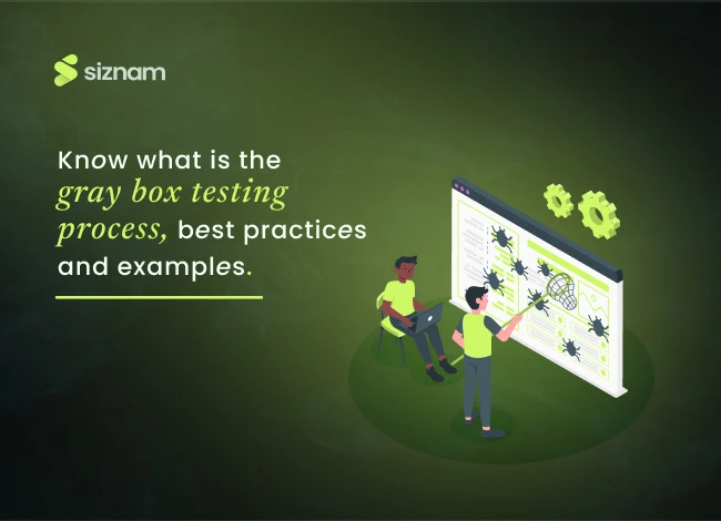 grey box testing process