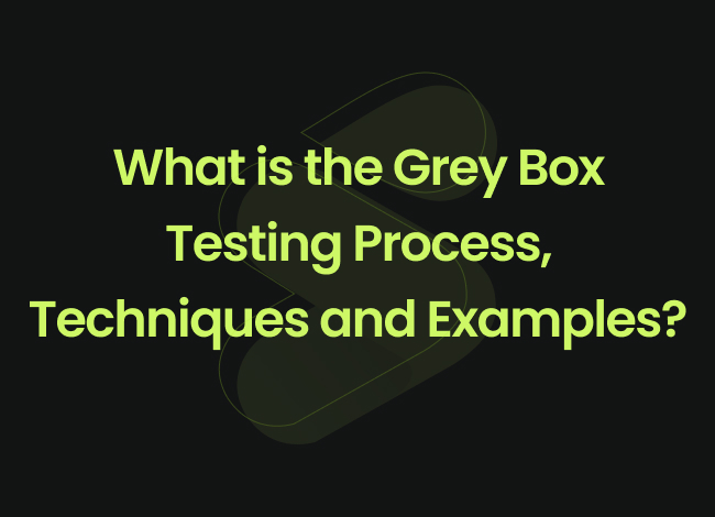 grey box testing process