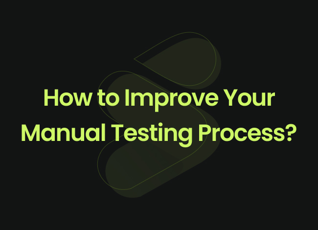 manual testing process