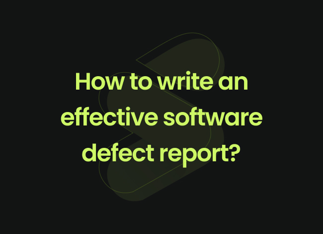 software defect report